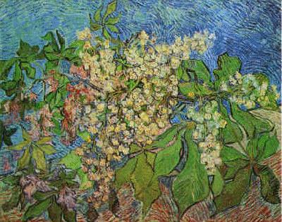 Vincent Van Gogh White Flowers with Blue Background Germany oil painting art